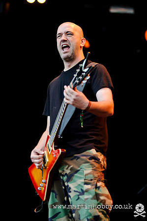 Nile-Bloodstock-2012-9