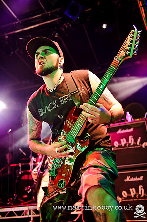 Dripback-Bloodstock-2012-14
