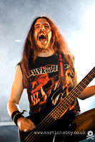 Bull-Riff-Stampede-Bloodstock-2012-13