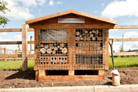 The-Beacon-wildlife-garden-4363
