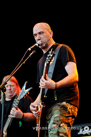 Nile-Bloodstock-2012-8