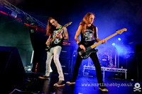 Stormborn-Bloodstock-2012