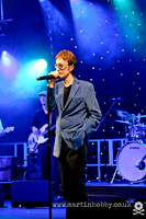 Robin-Gibb