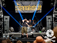 Snakebite